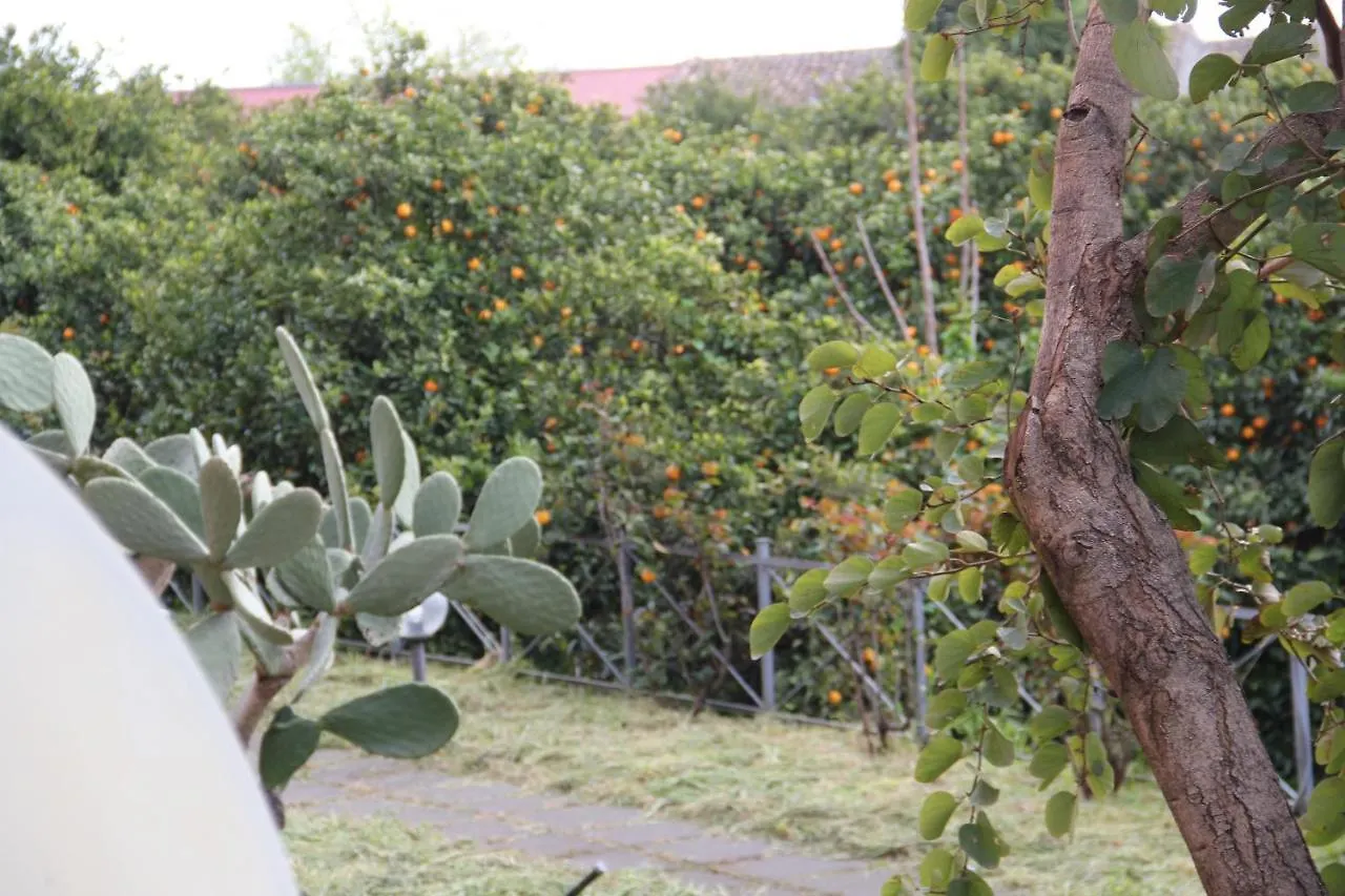 Casa vacanze Villa Gli Aranci Dell'Etna Mascali